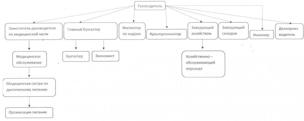 Структура организации фото